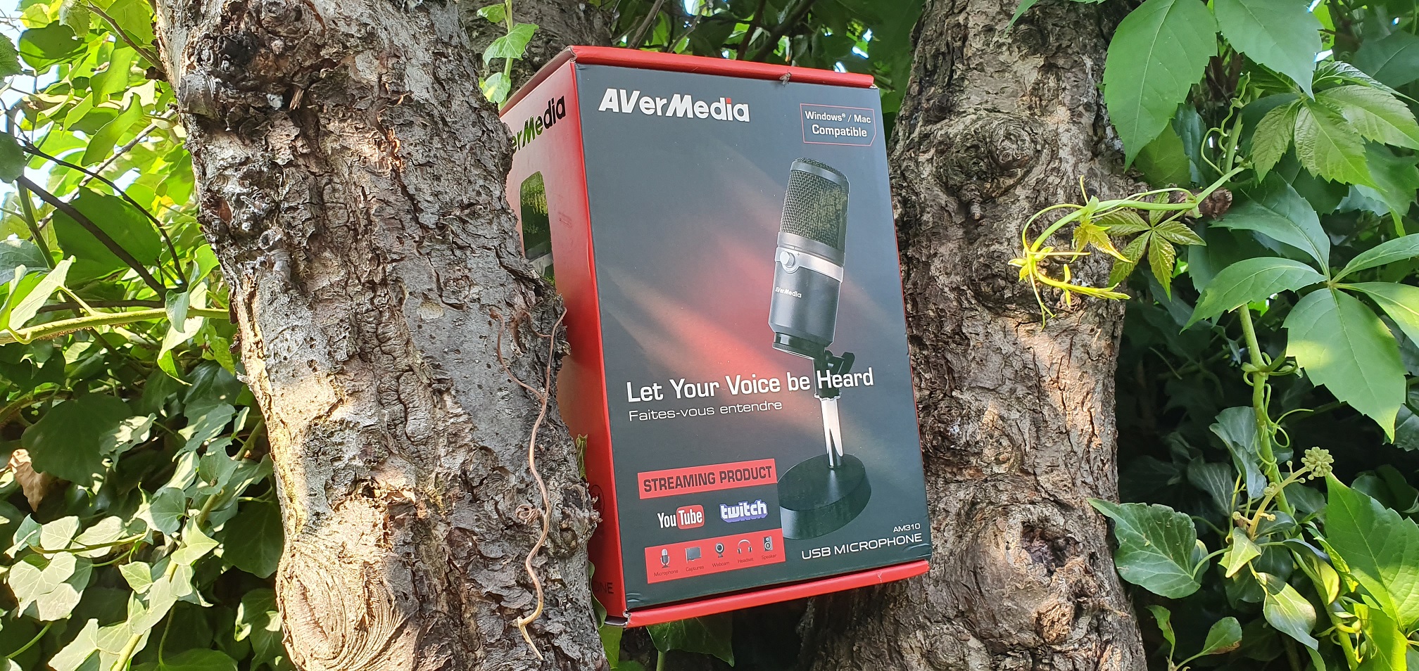 AVerMedia AM310 - recenze