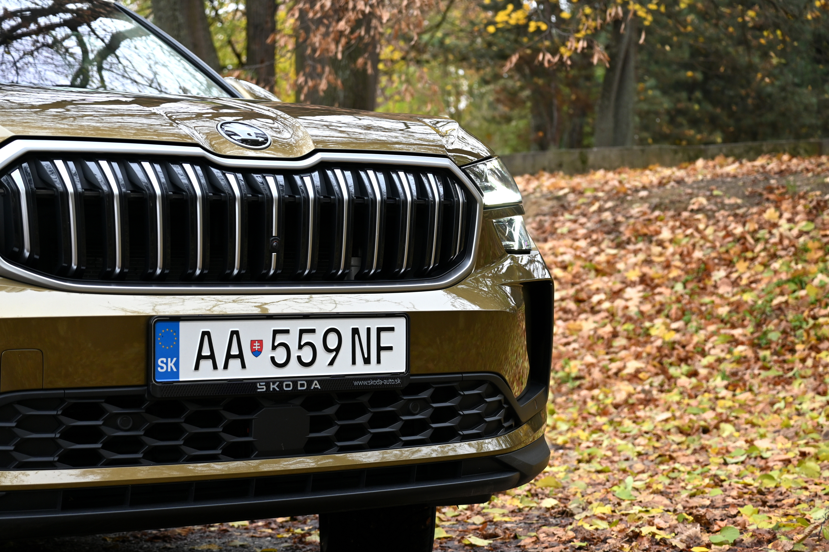 Klik pro zvětšení (Škoda Kodiaq 2.0 TDI 4x4  - recenze)